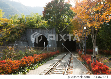 Great Shaded Tunnel Promenade Great Shaded Tunnel Promenade 23367661
