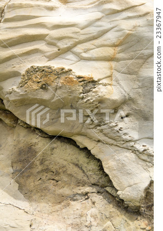 Rock skin (rock of Kushima) 23367947