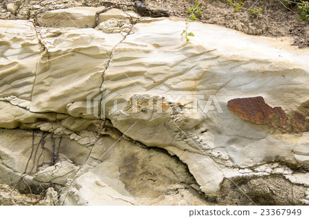 Rock skin (rock of Kushima) 23367949