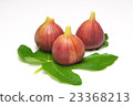 Figs and leaves 23368213