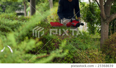 Gardener 23368639