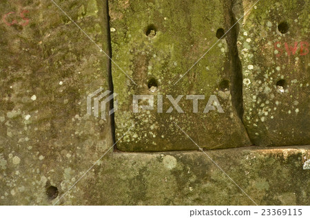 Green and white fungus on sandstone texture Green and white fungus on sandstone texture 23369115