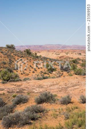 Arches National Park 23369953