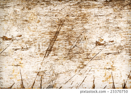 White wood texture White wood texture 23370750