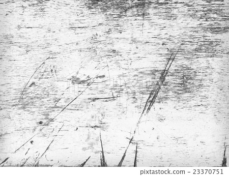 White wood texture 23370751