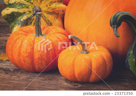pumpkin on table pumpkin on table 23371350