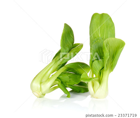 Turnip greens on white background. Turnip greens on white background. 23371719