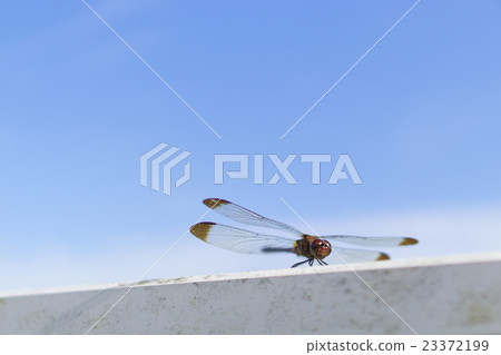 裁剪標記 裁剪標記 23372199