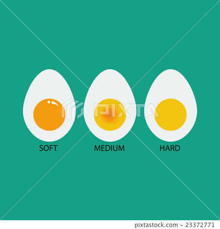 Boiled eggs illustration Boiled eggs illustration 23372771