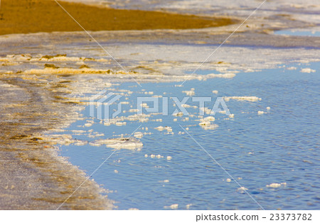 Parc Regional de Camargue, Provence, France 23373782