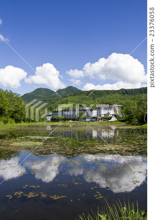 夏天荷花池 23376058