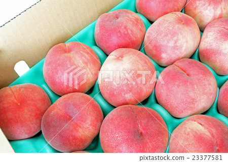 盒裝桃子，冰川冰川 23377581