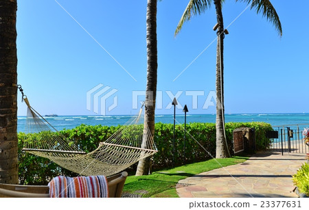Holidays in Hawaii 23377631