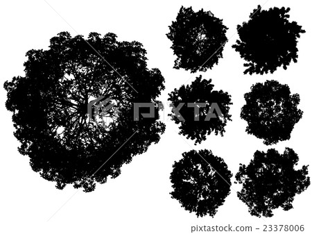 Tree silhouette from directly above 23378006