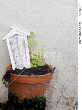 green small plant with happy new year japan text 23378664