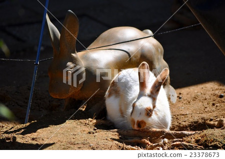 Walking path of Kaga city, Ishikawa prefecture 23378673