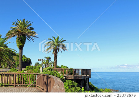 Horikiri Pass on the Nichinan Coast of Miyazaki City, Miyazaki Prefecture (Phoenix Road Station) 23378679