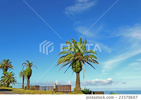 Horikiri Pass on the Nichinan Coast of Miyazaki City, Miyazaki Prefecture (Phoenix Road Station) 23378687