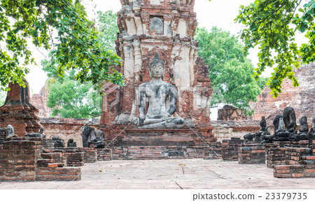 Buddha Buddha 23379735