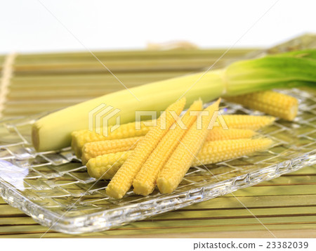 Yam Yang Corn 23382039