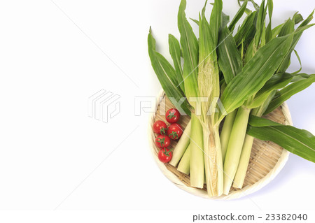 Yam Yang Corn 23382040