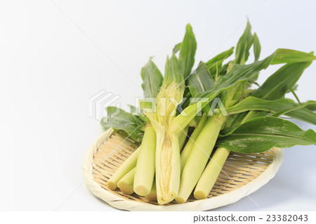 Yam Yang Corn 23382043