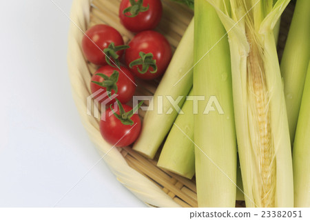 Yam Yang Corn 23382051