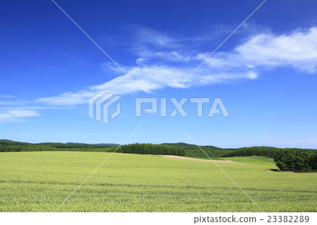 Kamifurano-cho Hokkaido Rural scenery and flowing clouds 23382289