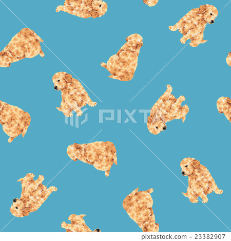 Golden Retriever Pattern Golden Retriever Pattern 23382907