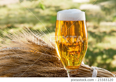 beer glass and raw material for beer production 23383120