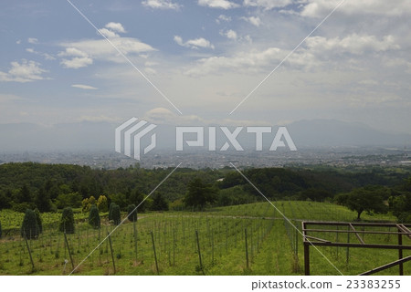 Tomi no Oka（山梨縣） 23383255