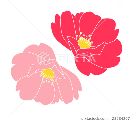 Flower Tsubaki - Stock Illustration [23384207] - PIXTA