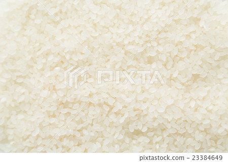 Rice 23384649