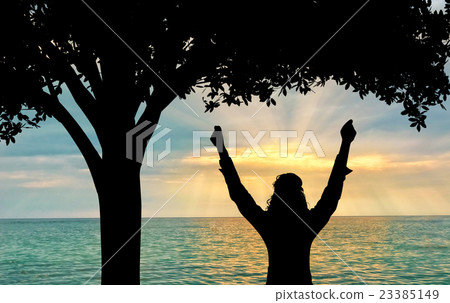 Success and happiness concept Success and happiness concept 23385149