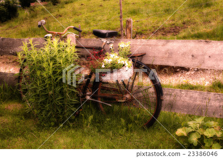 Deco Bicycle Deco Bicycle 23386046