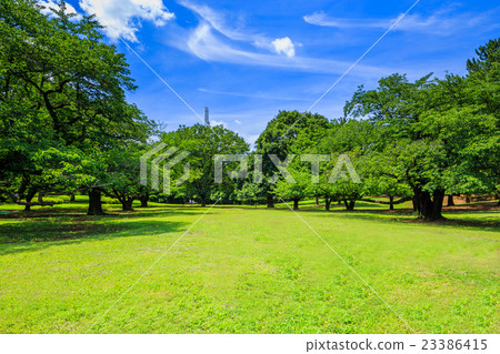 Mitsuigaoka公園風景在Nerima病區,東京 Mitsuigaoka公園風景在Nerima病區,東京 23386415