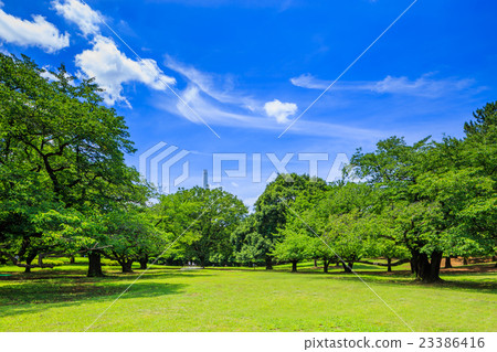 Mitsuigaoka公園風景在Nerima病區,東京 Mitsuigaoka公園風景在Nerima病區,東京 23386416