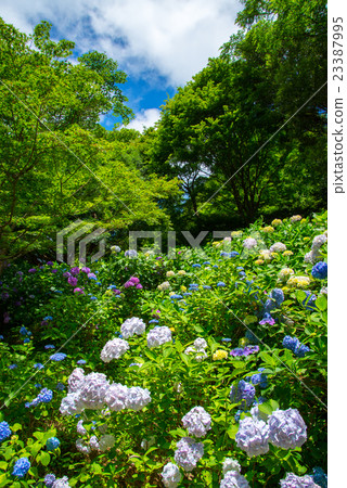 Nagai Botanical Garden 23387995