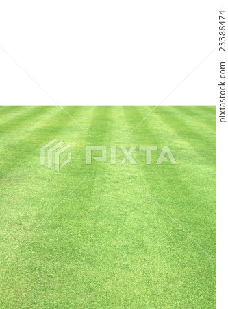 Football field green grass Football field green grass 23388474