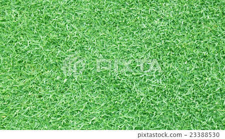 Football field green grass Football field green grass 23388530