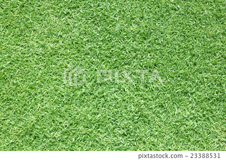 Golf Courses green lawn 23388531