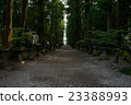 Approach 23388993