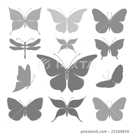 Butterflies graphic silhouettes Butterflies graphic silhouettes 23389059