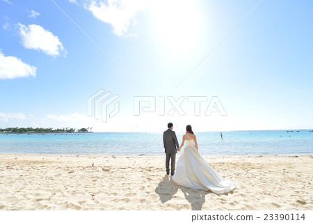 The beach The beach 23390114