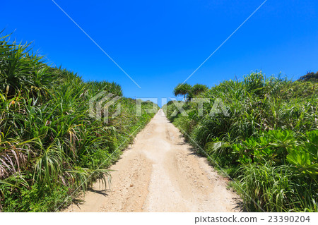 一條路繼續前往Kaberu，Kubakijima，沖繩的海角 23390204