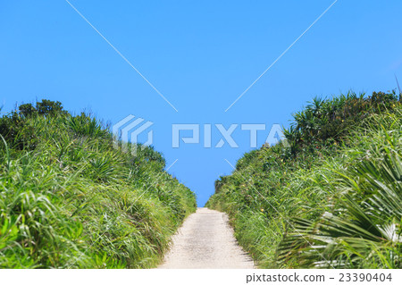 One road that continues to the cape of Kaberu, Kubakijima, Okinawa 23390404