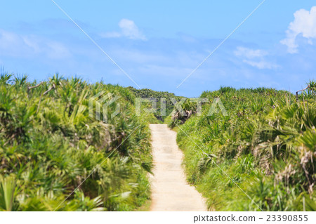 One road that returns from Cape Cabard 23390855