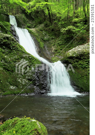 Falls of the three pots of Haizawa Valley Falls of the three pots of Haizawa Valley 23391581