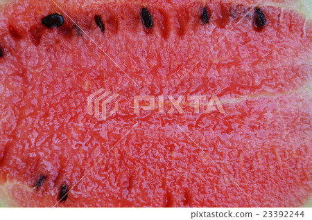 watermelon texture 23392244