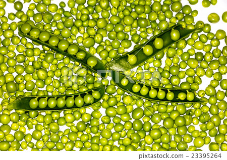 fresh green peas fresh green peas 23395264